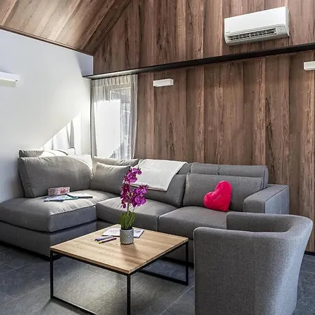 In Belgium With Private Terrace